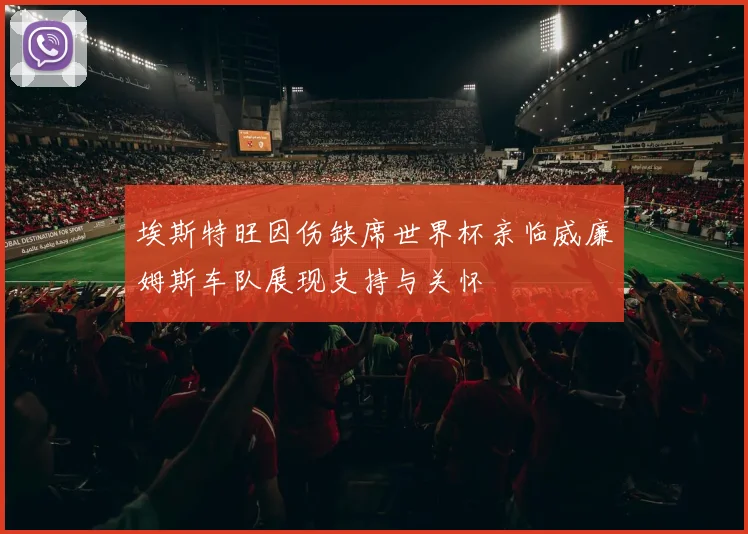 埃斯特旺因伤缺席世界杯亲临威廉姆斯车队展现支持与关怀