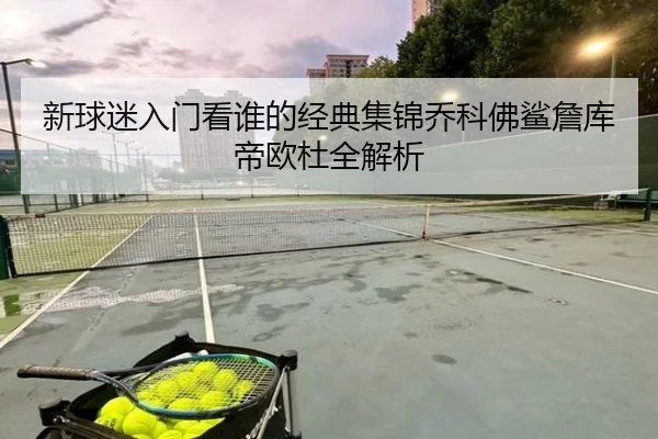 新球迷入门看谁的经典集锦乔科佛鲨詹库帝欧杜全解析